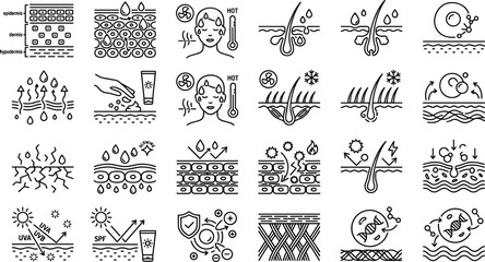 Obraz premium Dermatology and Skincare Line Icon Set with Skin Layers Anatomy Moisture Hydration UV Protection Sunscreen Collagen and Anti Aging Medical Vector Symbols