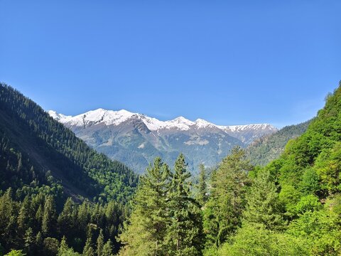 Tosh Village and Buddhaban Forest Landscape in Parvati Valley Himachal Pradesh