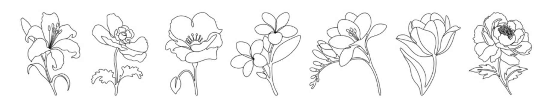 One Line Illustration &ndash; Minimal Floral Flowers	