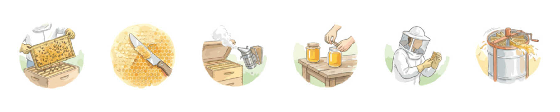Beekeeping process illustration showing honey extraction and hive management steps