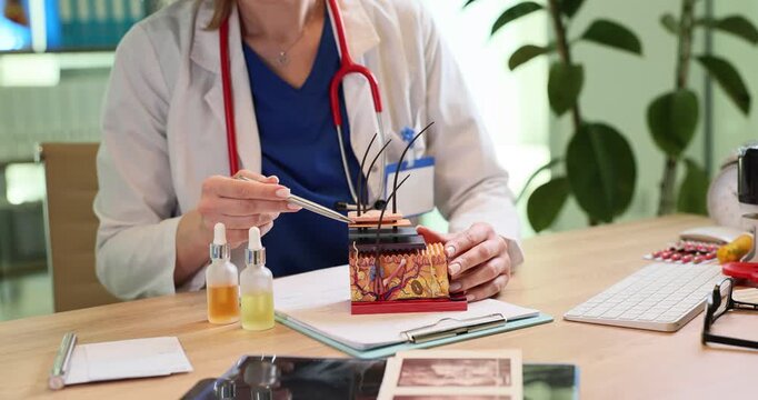 Doctor with pen points at human skin layer model in dermatology clinic. Female medic shows treatment process with cosmetic serum in office slow motion
