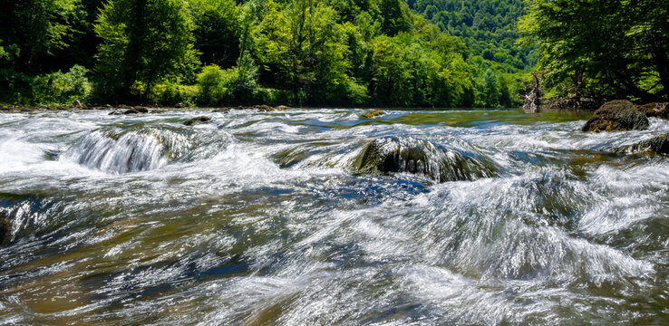 Dynamic water movement over smooth rocks in the Kolpa Kupa River with emerald forest backdrop, symbolizing freshness and outdoor adventure