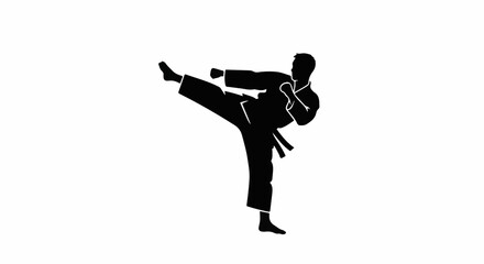 Obraz premium Silhouette of a person performing a high kick in martial arts