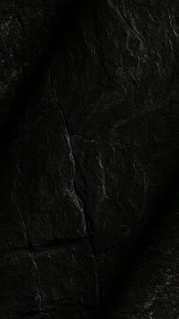 Organic Peat Coal texture with dense compressed plant fibers and dark swamp mineral matter rotating slowly to display natural biomass fuel properties