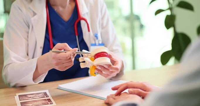 Female surgeon holds vertebra anatomical model and consults patient in clinic. Doctor performs backbone treatment plan to woman at appointment