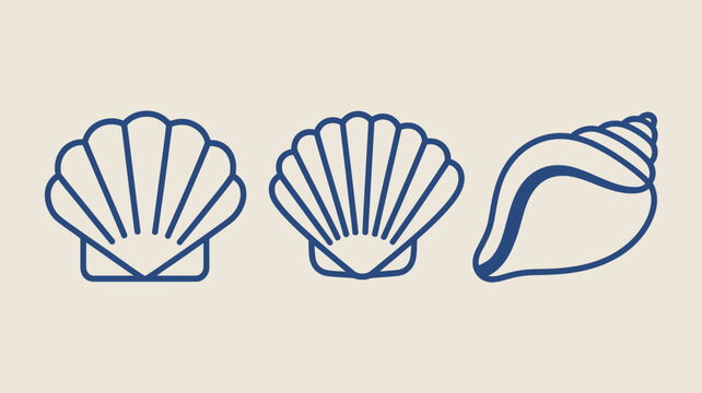Three different types of stylized seashell vector illustrations