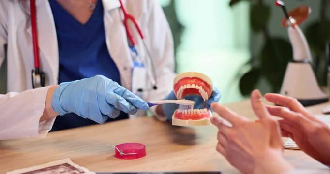 Dentist in gloves teaches patient to brush teeth on human jaws model in hospital. Doctor shows toothbrush floss to woman at appointment slow motin