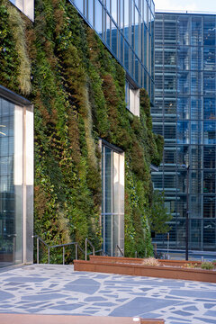 Beside a bench, a green facade meets a glass building in an urban plaza, joining plants, terrace architecture, reflection, and shade