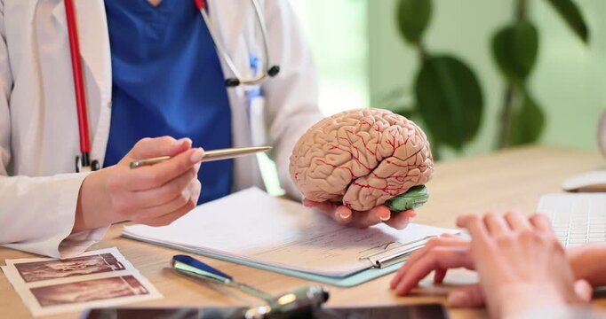 Woman neurologist points at brain part on anatomical model for patient in hospital. Doctor warns woman about neurological disease danger in hospital