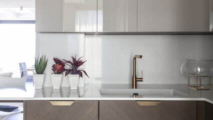 Modern luxury kitchen interior in minimal scandinavian style, 3d render © evgenij