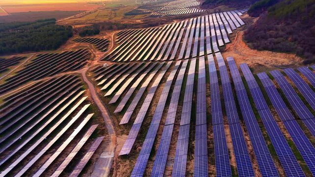 Sunset solar farm with cattle grazing on valley floor, Bulgaria. Drone view of reflective panel rows beside green pasture, livestock herd visible, orange and purple sky overhead.
