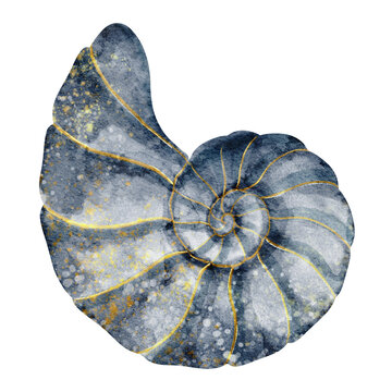 Ammonite watercolor illustration. Blue Fossil shell with spiral texture on isolated background. Decorative natural history element for marine, science and vintage design.
