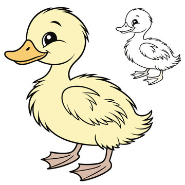duck and ducklings