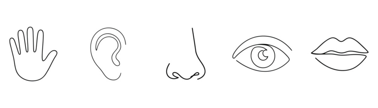 Five human senses minimal continuous line art outline icon set