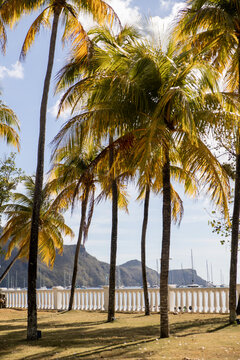 Colorful Caribbean waterfront in Bequia