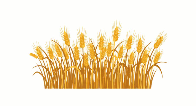 A cluster of golden wheat stalks with detailed textures and brown stems, set against a white background