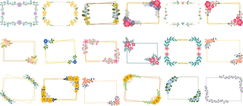Collection of vibrant square floral frames. Flat vector illustration of colorful rectangular botanical borders for creative graphic design.