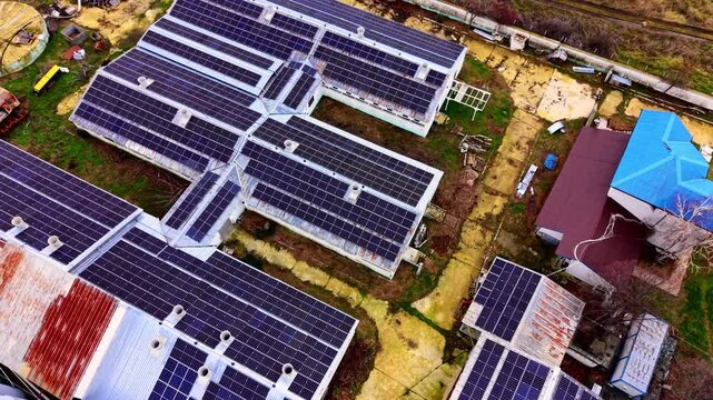 Overhead drone view of rooftop solar panel arrays on farm buildings. Dense blue photovoltaic modules covering multiple connected white metal-roofed structures.