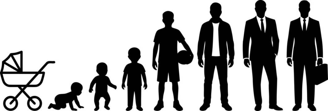 Human life cycle stages from infancy to adulthood