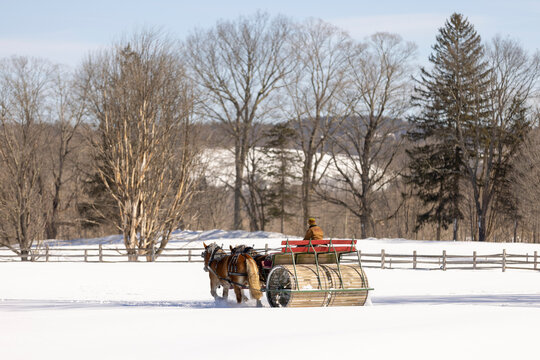 A horse drawn snow groomer packing down a path in winter through a field on a farm and a sleigh on a cold Woodstock, Vermont morning.