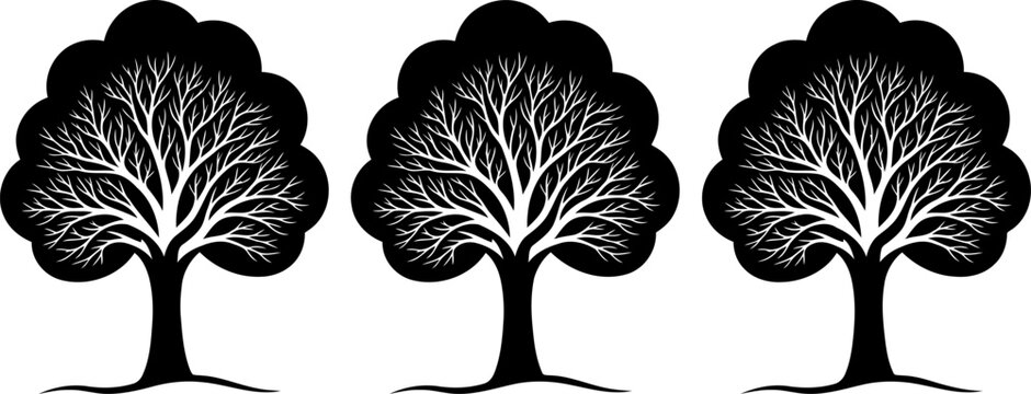 Set of three stylized black and white trees