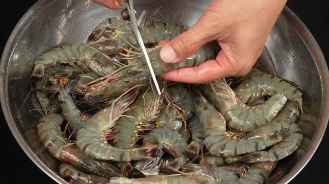 Close-up action shot of hands peeling a raw black tiger prawn, showcasing the preparation of fresh premium seafood.