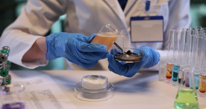 Woman assistant pours liquid on soil sample in Petri dish in chemical lab. Skilled technician conducts tests with dirt pH in agricultural laboratory