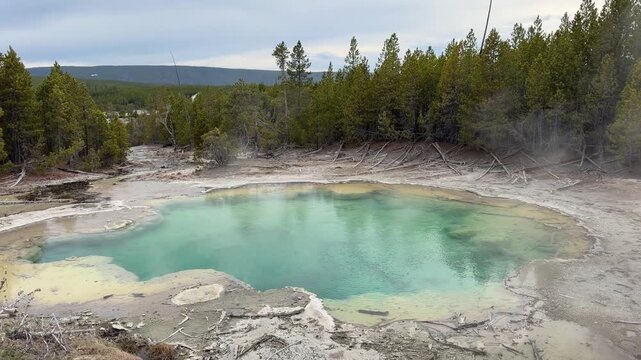 Emerald Pool in Norris Geyser Basin, Yellowstone