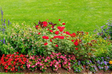 Obraz premium Colorful flower bed with various plants in a garden during daytime near a lawn