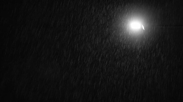 暗闇の中でしっとりと降る夜の雨を優しく照らし出す1基の街灯リアルスピード。街灯のみ