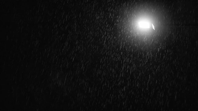 暗闇の中で街灯の光に照らされて静かに舞い落ちる雨のスローモーション映像。街灯のみ