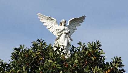 Naklejka premium Angel statue standing over a tree with its wings spread against a bright sky