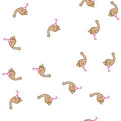 Fototapeta premium ostrich bird vector seamless pattern ostrich bird sign illustration