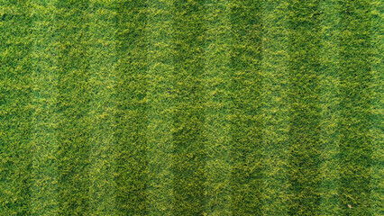 Soccer field grass texture with striped mowing pattern background © banphote