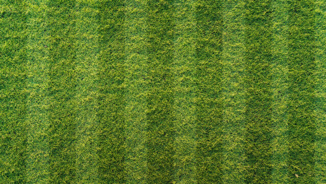 Soccer field grass texture with striped mowing pattern background