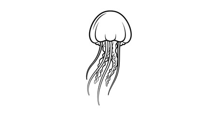 Jellyfish silhouette on transparent background high quality professional © Ayesha