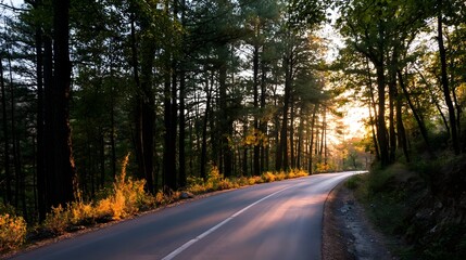 Fototapeta premium A scenic road winds through a dense forest bathed in the warm tranquil glow of sunset or sunrise