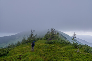 Fototapeta premium A lone hiker with a backpack stands on a lush, grassy mountain ridge, surrounded by mist and scattered pine trees under a thick, overcast sky, emphasizing the solitude of a wilderness trek.
