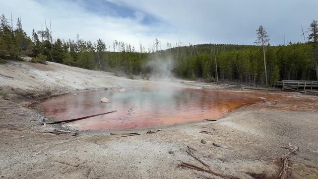 Echinus Geyser in Norris Geyser Basin, Yellowstone