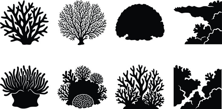 Black coral silhouettes featuring branching, fan, rounded, and brain‑like marine reef structures