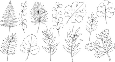 Fototapeta premium Minimalist botanical leaf line art vector elements set