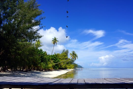 tropical beach with palm trees of kri island in raja ampat in Indonesia