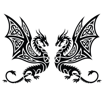 Celtic dragon tattoo vector illustration showing two mythical creatures with knotwork patterns facing each other isolated on white background