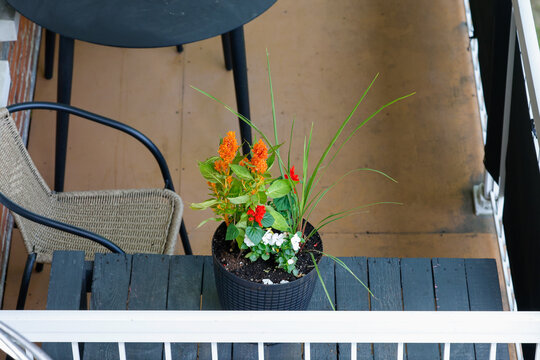 Un pot de fleurs sur la table ext&eacute;rieure d'un balcon d'appartement