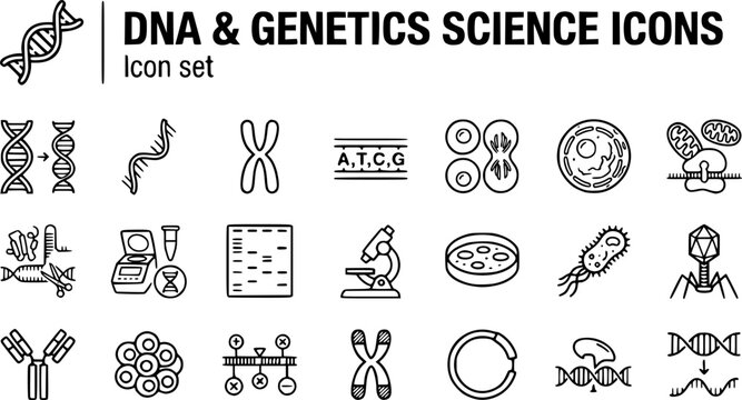 DNA Genetics Science Technical Line Art Icon Set Double Helix RNA Chromosome Gene Cell Division Nucleus Mitochondria Ribosome CRISPR PCR Gel Electrophoresis Virus Bacteria 25 Icons Editable Strokes 