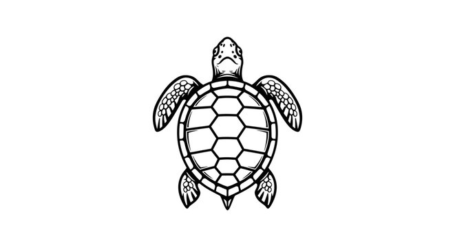 Top-down sea turtle shell pattern vector illustration.