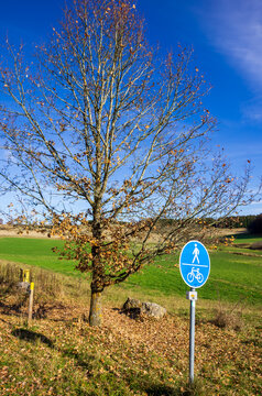 Alleinstehender Baum und Verkehrsschild in Landschaft