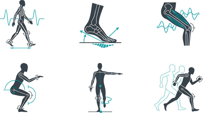 Biomechanics and Human Motion Analysis Icon Set Featuring Biomechanical Body Movement Gait Diagnostics Joint Angles Kinematics and Rehabilitation Exercise Orthopedic Vector Illustrations