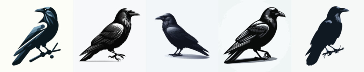 Fototapeta premium Raven Vector Illustration