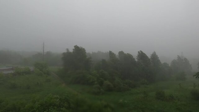 Extreme summer windstorm and heavy downpour with whiteout mist obscuring green forest landscape